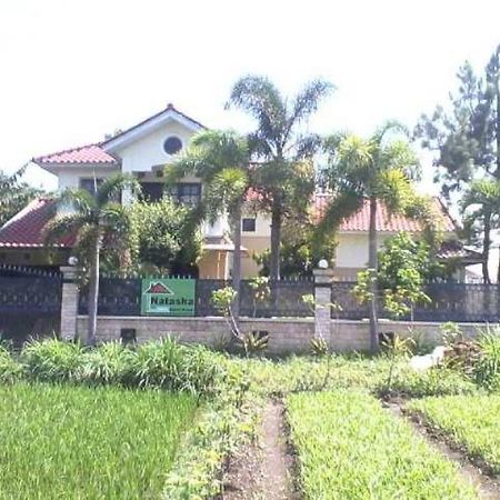 Grya Natasha Apartment Yogyakarta Bagian luar foto